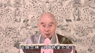 淨空法師：「凡所有相，皆是虛妄」，你還追什麼根究什麼柢？