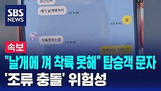 "날개에 껴 착륙 못해" 탑승객 문자…'조류 충돌' 위험성 / SBS