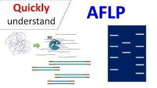 AFLP | Amplified Fragment Length Polymorphism