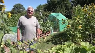 Visiting an Award Winning Allotment Site