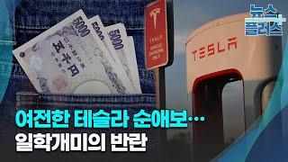 여전한 테슬라 순애보…일학개미의 반란 [상반기결산]/한국경제TV뉴스