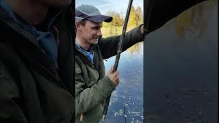 ЩУКА АТАКОВАЛА МОЙ УЛОВ/ПЕРЕТЯГИВАЕМ СО ЩУКОЙ РЫБУ/ЩУКА НАПАЛА НА УКЛЕЙКУ/РЫБАЛКА В САМАРЕ/РЫБАК 87