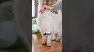 자꾸 만지라고 하는 이유