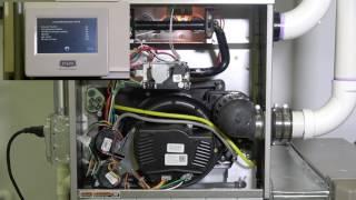 Gas Furnace: Operating Sequence (2 of 2)