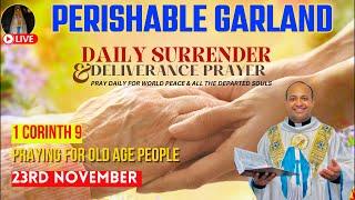 Praying for the elderly | Surrender & Deliverance Prayer by Fr. Roni George VC| November 23