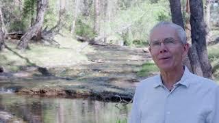 Redstart Cabin - Intro