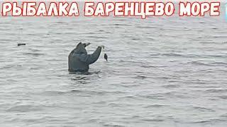 Рыбалка. Баренцево море   