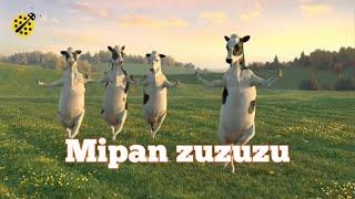 Mipan Zuzu - mipan zuzuzu Original Video