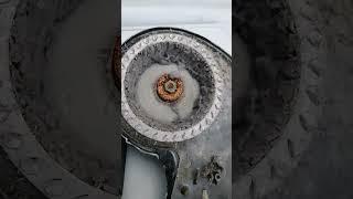 Что внутри? Стиральная машинка с сушкой #рембыттехника77 #стиральнаямашинка #сушка