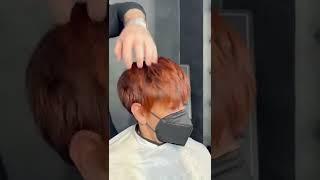 Shorthaircut Copper Color