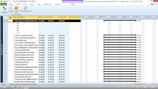 TDMS vs MS Project