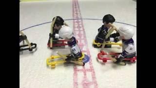 Animated SMITI Sledge Hockey Highlights