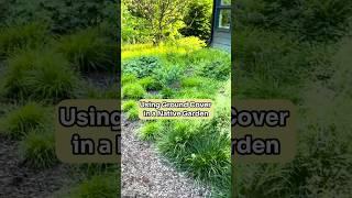 The Importance of Using Native Ground Cover