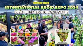 International Aroid Expo in Miami, FL. One of the worlds greatest aroid event. Plus lots of orchids