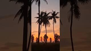 Sunrise in Thailand Isan.#isaan #travel #nature #thailand