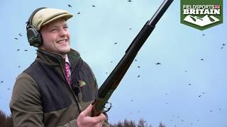 Ollie Williams at The Ridgeway: "The best pheasant drive I've ever shot"