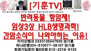 [주식투자]HLB(반려동물 항암제!/임상3상 HLB생명과학!/간암소식이 나와야하는 이유!)