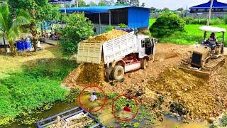 Nicely Project job!!Dump Truck Filling Land Up.Bulldozer D20p Push Soil Into The Lake Huge