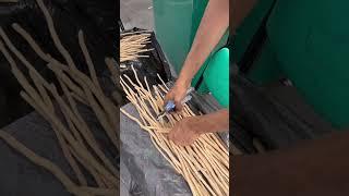 This is Miswak - a natural toothbrush #miswak #madina #saudiarabia #travelvlog