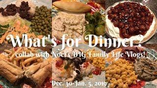 What's for Dinner? (& Dessert!) COLLAB with Noel's BIG Family Life Vlogs | Large Family Meals