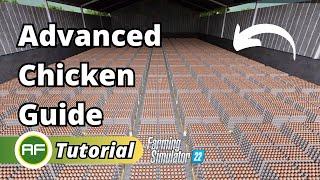 Advanced Chicken Guide EASILY Make $1.8 Million From EGGS In Farming Simulator 22