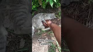 toxic kitty