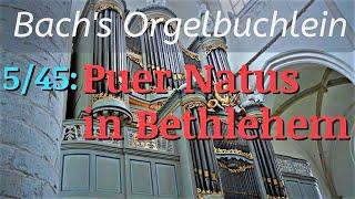 J.S. Bach's "Puer Natus in Bethlehem" (BWV 603) + English Translation