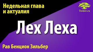 Рав Бенцион Зильбер. Недельная глава Лех Леха