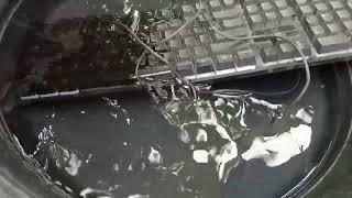 Computer Keyboard is Safe to Wash With Water?