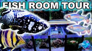 MY CRAZY FISH ROOM TOUR ~ I GOT NEW FISH!