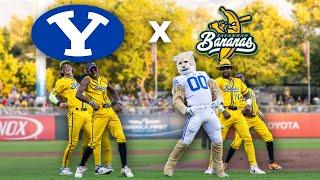 BYU Mascot Crashes Savannah Bananas Dance