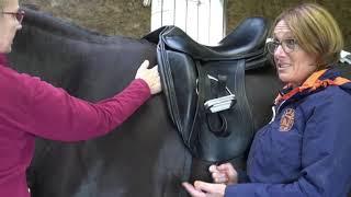 A CHILDERIC SADDLE CHECK UNCOVERED (PART 2)