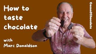 How To Taste Chocolate Like an Expert