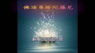 佛頂尊勝陀羅尼 21遍(無廣告)