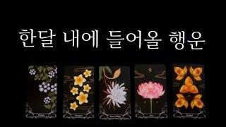 [타로] 한달 내에 들어올 행운