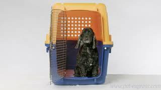 PET CRATE Pet Express | for puppies or kittens and large dogs | IATA airline approved pet carrier.