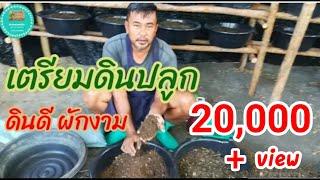 วิธีเตรียมดินปลูก ดินดี ผักงาม | ผักปลอดสารพิษบ้านน้องปลายฝน