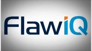 2H | FlawIQ Demo Video