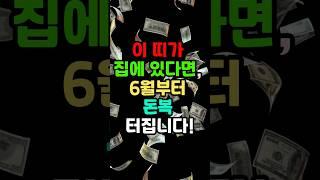 운명톡톡 이띠가 집에 있다면 6월부터 돈복이 터집니다#재물운 #지식