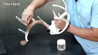 How to Replicate Deer Antler Velvet | Taxidermy Supply | Scenes-n-Nature