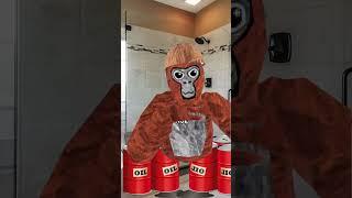 Why was Dylan thinking of that (creds to @testiclesvr  #gtag #gorillatag #vr