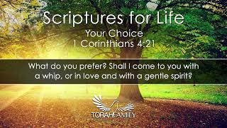 Scriptures for Life | Your Choice