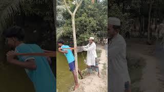 #মুরুব্বির #বিটলামি #new #funny #banglasarabarnaandbanjanbarna #comedy