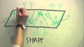 OhioMOD DNA Origami