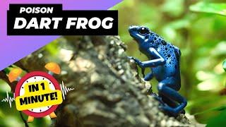 Blue Poison Dart Frog  Tiny But Lethal! | 1 Minute Animals