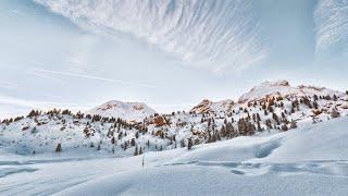 Winter Snow Scenes, Nature, Animals and Soothing Music for Study, Work, Relaxing or Sleep