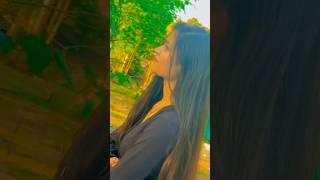 #diljhoom #gadar2 #foryou #shortvideo #viralvideo #trending  #cute #shortsfeed #shorts