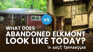 Elkmont ghost town: Why was it abandoned, what does it look like today?