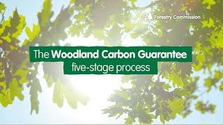 The Woodland Carbon Guarantee five stage process