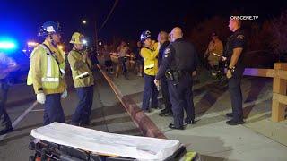 Jogger Killed in DUI Crash